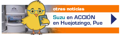 suzu